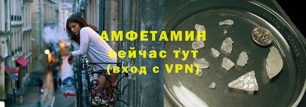 прущие грибы Наволоки