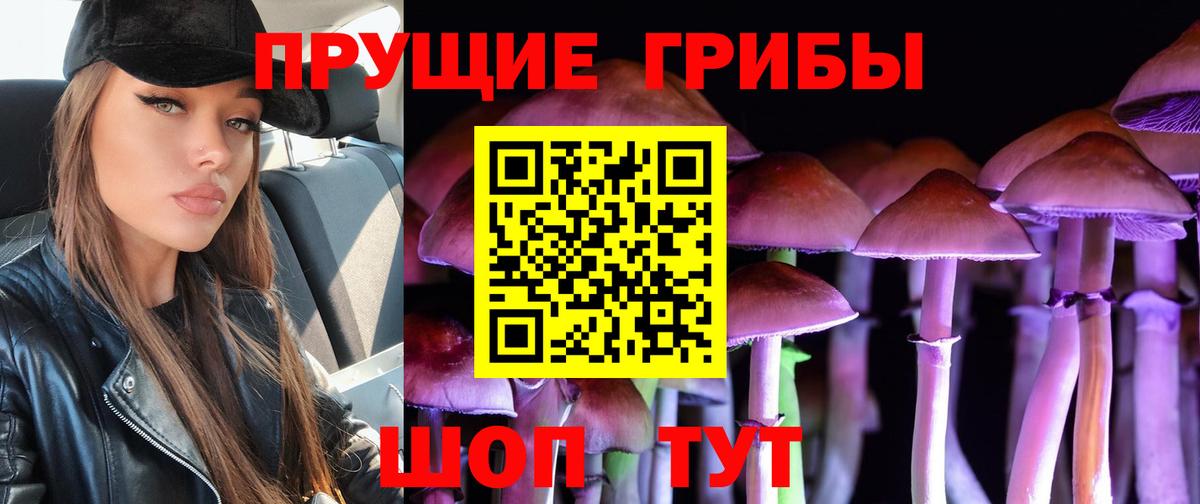 Чебаркуль  Псилоцибиновые грибы прущие грибы  Вход с VPN 